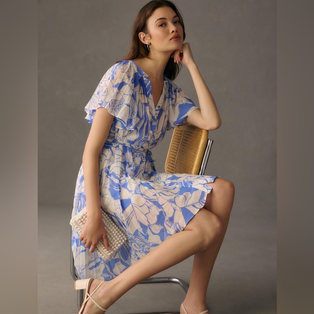 Anthropologie Ruffle Sleeve Pleated Dress